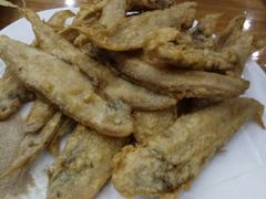 -渔家小院观海海肠捞饭地方菜(环海中路店)