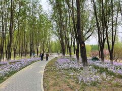 -东郊湿地公园