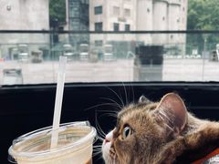 -CEMENT·coffee bar (凤凰创意园店)
