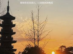 -龙华寺