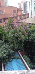 环境-重庆医科大学附属儿童医院(渝中院区)