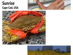 -三妹小龙虾·黄油蟹(华侨城总店)