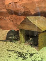 点击看大图 -Zoolung Zoolung动物主题公园(海信广场店)