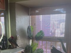 -施奈儿.洗头頭療.按摩SPA.采耳(上梅林店)