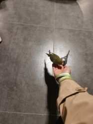 点击看大图 -酷嗒动物文化乐园(cutezoo西溪乐天城店)