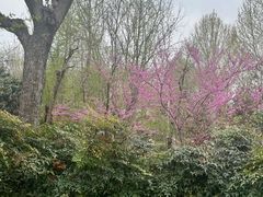 -郑州植物园