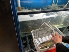 活鱼-老板恋上鱼(印象城店)