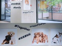 -瑞虹新天地月亮湾