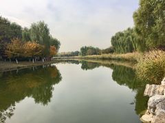 -大兴滨河森林公园