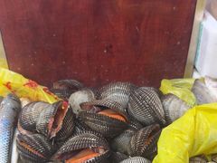 -小铜锣湾海鲜家常菜馆(河西店)