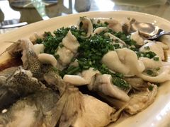 -金苑海鲜酒家(新港中路店)