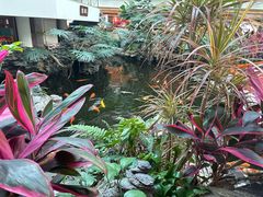 -广州白天鹅宾馆