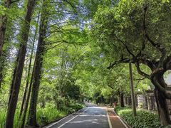 -上海佘山国家森林公园西佘山园