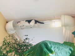 -萤火虫咖啡(后海店)