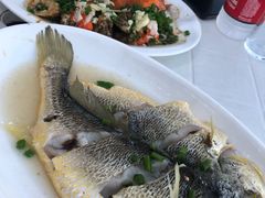 -胖大嫂渔家排档·全海景餐厅(渔村店)