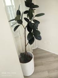 -HEYAN荷妍专业脱毛连锁机构