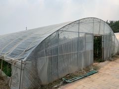 -西瓜小镇