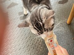 -舊新事咖啡NOTHING NEW COFFEE
