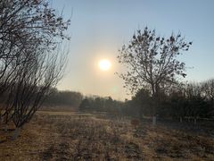 -大兴滨河森林公园