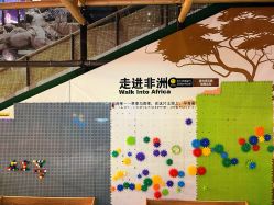 -卡通尼·Safari非洲探索乐园·生日会(金桥国际商业广场店)