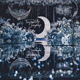星月夜婚礼