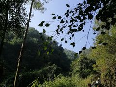 -大屏嶂森林公园