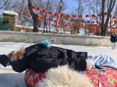 -北陵公园