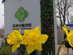 -苏州上方山国家森林公园