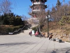 -莱西月湖公园