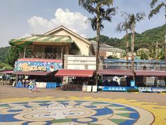 -重庆海昌加勒比海水世界