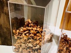 -宁波市保国寺古建筑博物馆