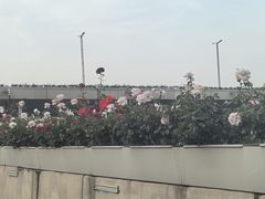 -楚江子·龙继斑鱼庄(建设东路店)