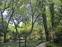 -上海醉白池公园