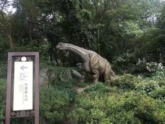 -木兰云雾山