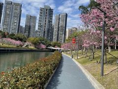 -深圳湾公园(南山区)