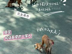 -青藏高原野生动物园