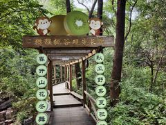 -大岭沟猕猴桃谷风景区