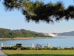 -唐岛湾公园