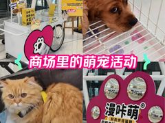 -成都银泰城