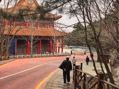 -大芦花风景区