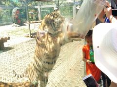 -西安秦岭野生动物园