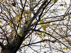 -南京奥林匹克体育中心-体育馆