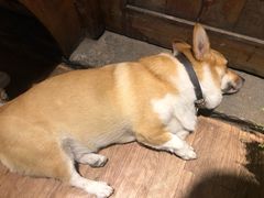 -阿木舂记·特色小吃(平江路店)