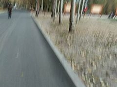 -长春公园(普阳街道)