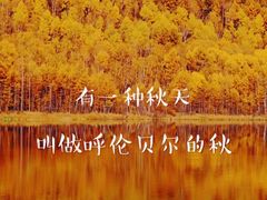 -呼伦贝尔大草原