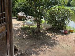 -中国翰园碑林