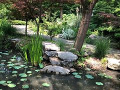 -南山植物园