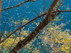 -叠溪松坪沟景区