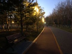 -大兴滨河森林公园