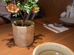 -CURRY YA 熟成咖哩專門店(深圳湾万象城店)